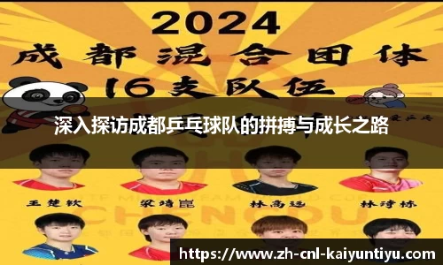 深入探访成都乒乓球队的拼搏与成长之路